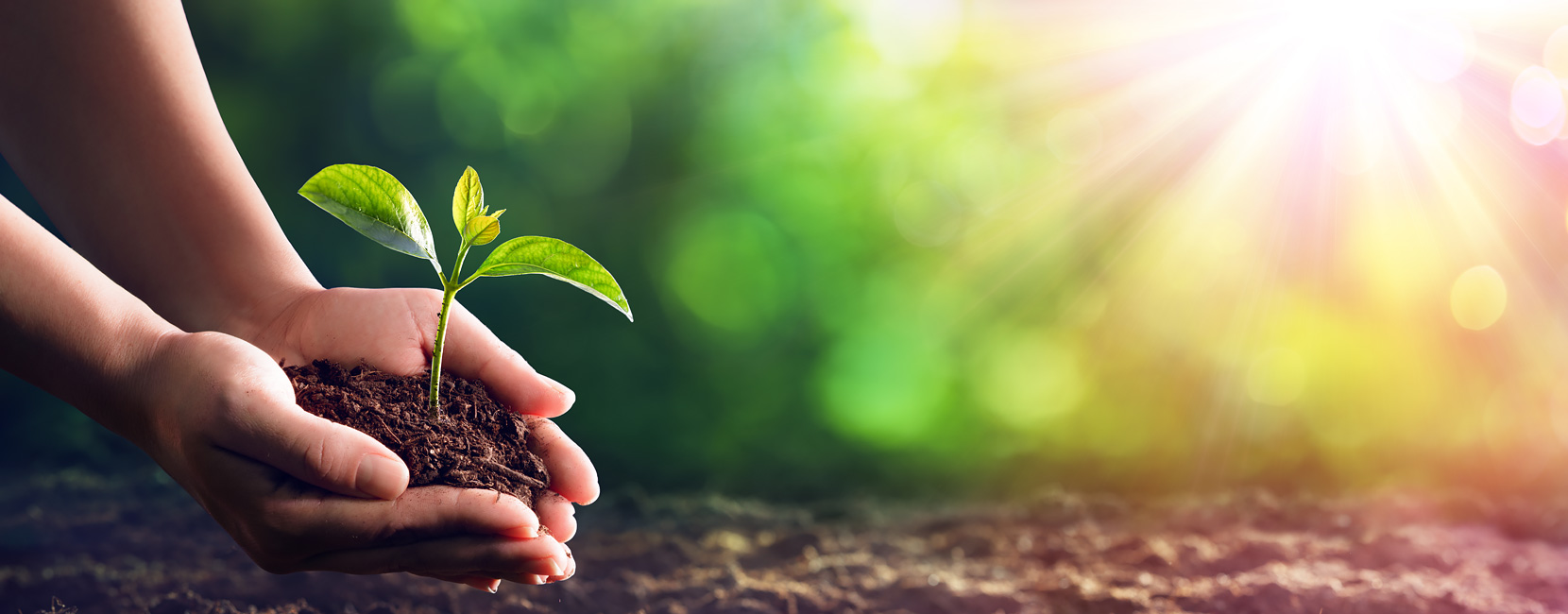 ��Ȧ(�й���)�������ǲ�!