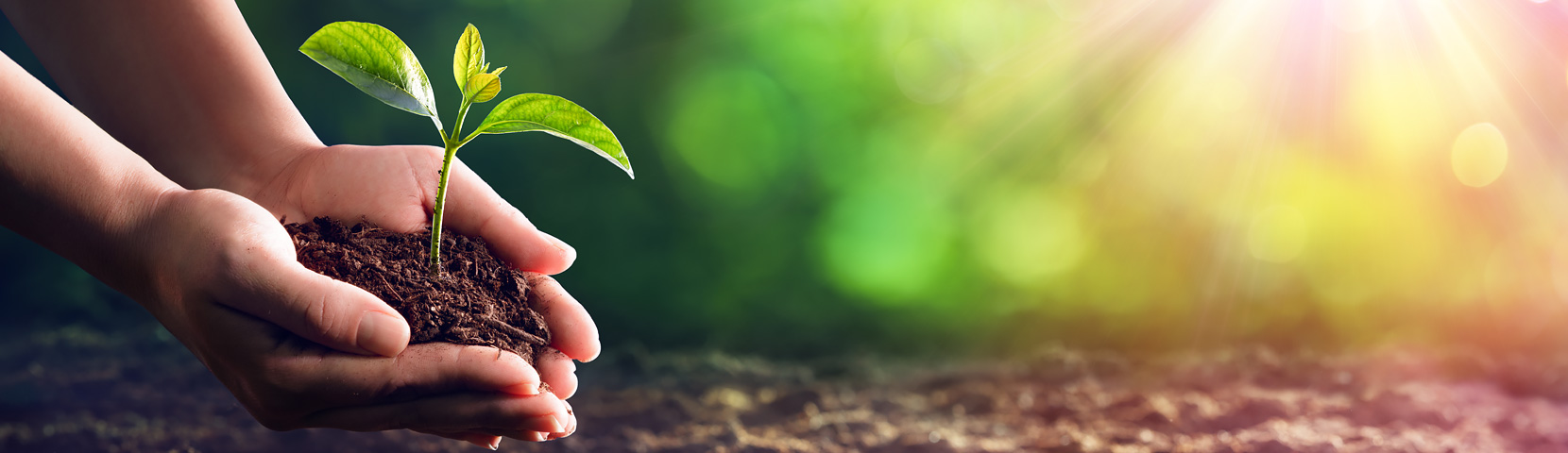 ��Ȧ(�й���)�������ǲ�!